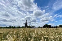 Van Gogh Niederlande