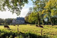Burg in Holland besuchen