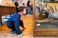 Museum besuchen in Friesland Holland